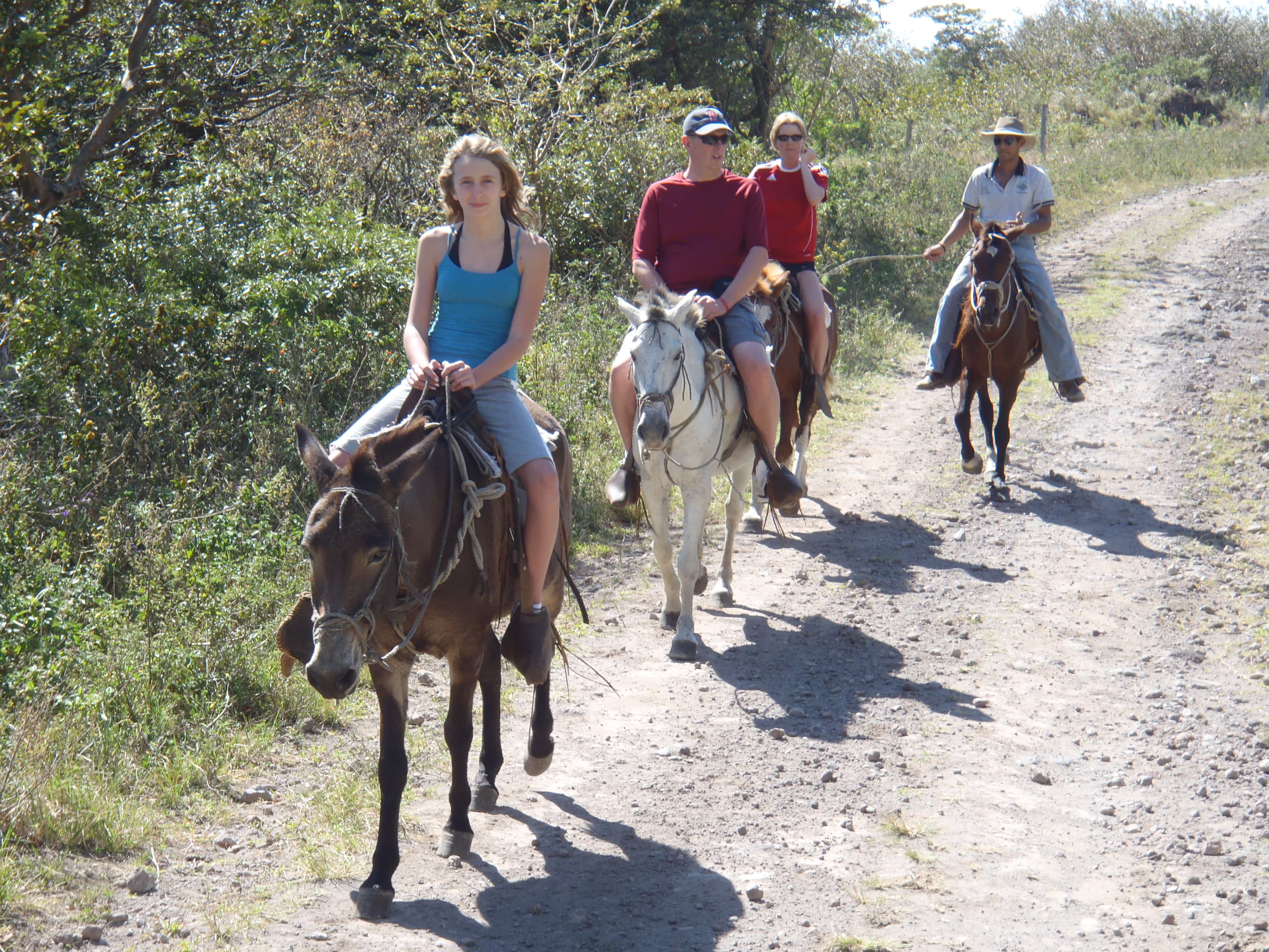 Horseback Riding