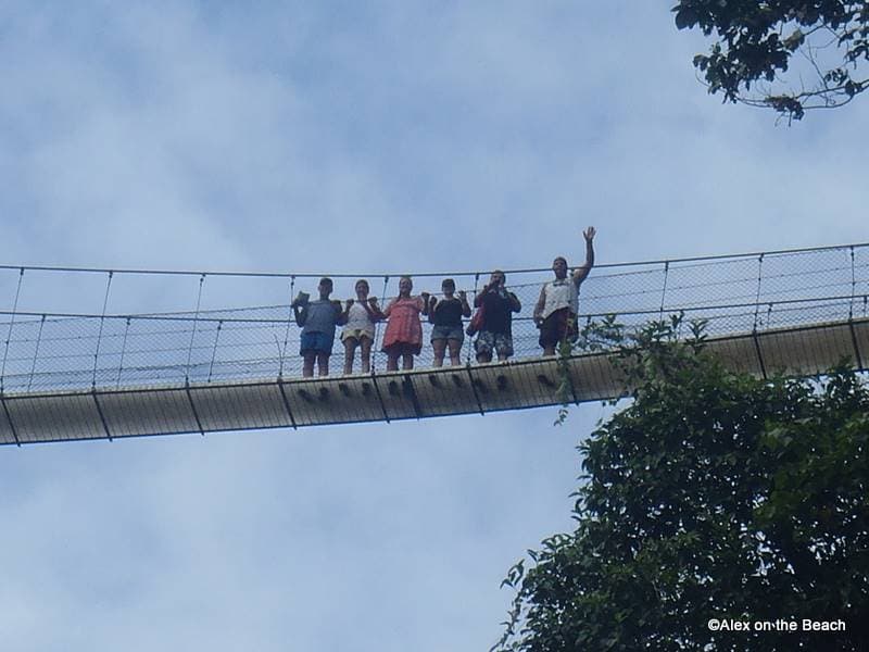 Monte Verde Cloudy Rain Forest
