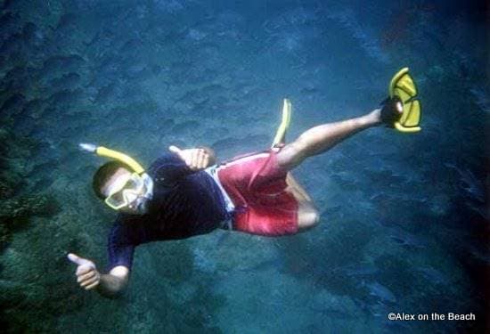 Snorkeling Trip